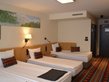   - Superior twin/double room