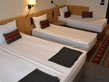   - Superior twin/double room