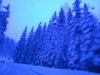 Ски и сняг в зимно Пампорово- фото репортаж