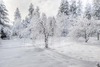 Първият сняг падна в Пампорово и Смолян