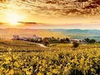 Zornitza Family Estate Relais & Chateaux, ������