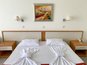 Хелиос Спа Резорт - Double standard room park view