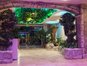 Harmony Suites 2 & 3 - Jungle